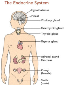 Endocrine disorders